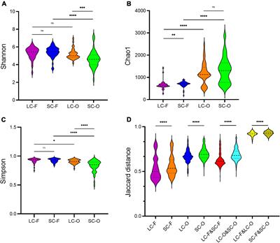 Oral and fecal microbiome of confiscated Bengal slow lorises in response to confinement duration